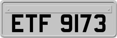 ETF9173