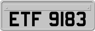 ETF9183