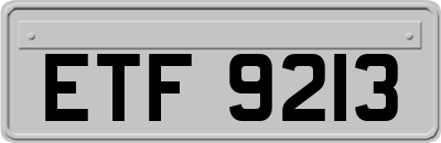 ETF9213