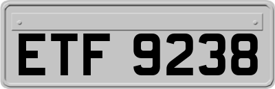 ETF9238