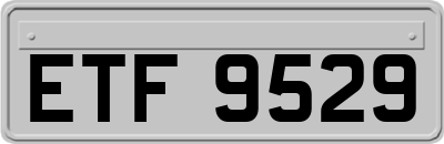 ETF9529