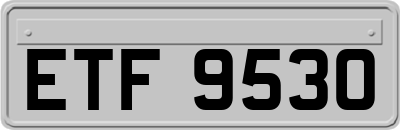 ETF9530