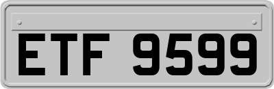 ETF9599