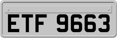 ETF9663