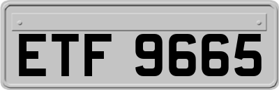 ETF9665