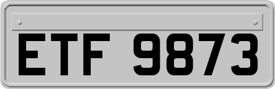ETF9873