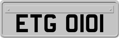 ETG0101