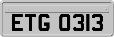 ETG0313