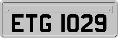 ETG1029
