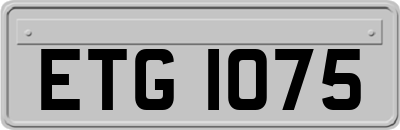 ETG1075