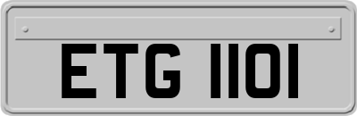 ETG1101