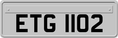 ETG1102