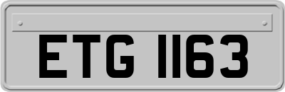 ETG1163