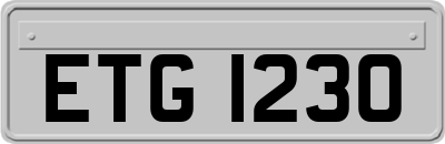 ETG1230