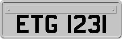 ETG1231