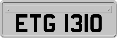 ETG1310