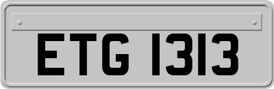 ETG1313