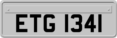 ETG1341