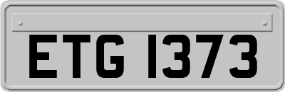 ETG1373