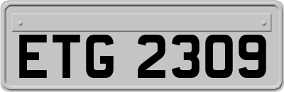 ETG2309