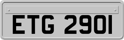 ETG2901