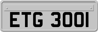 ETG3001