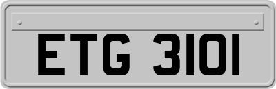 ETG3101