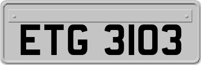 ETG3103