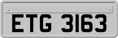 ETG3163