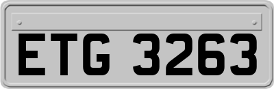 ETG3263