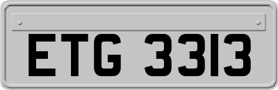 ETG3313