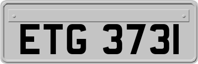 ETG3731