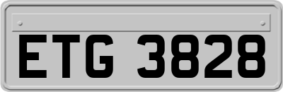 ETG3828