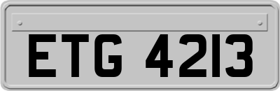 ETG4213