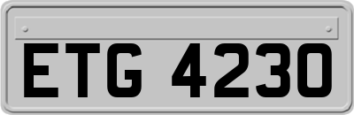 ETG4230