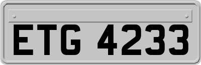 ETG4233
