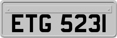 ETG5231