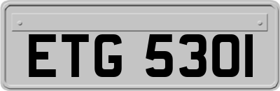 ETG5301