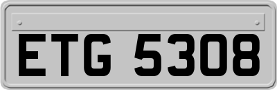 ETG5308