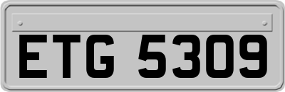 ETG5309