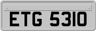 ETG5310