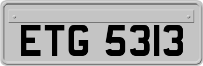 ETG5313