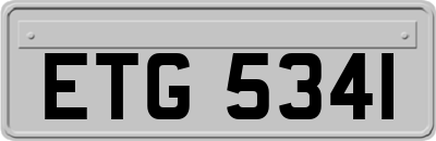 ETG5341