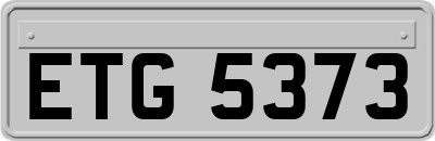 ETG5373