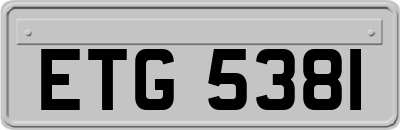 ETG5381