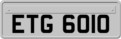 ETG6010