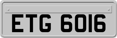 ETG6016