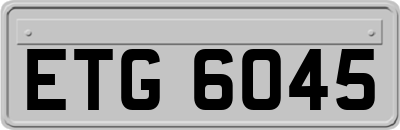 ETG6045