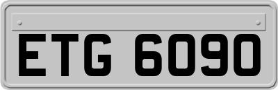 ETG6090