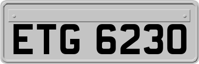 ETG6230